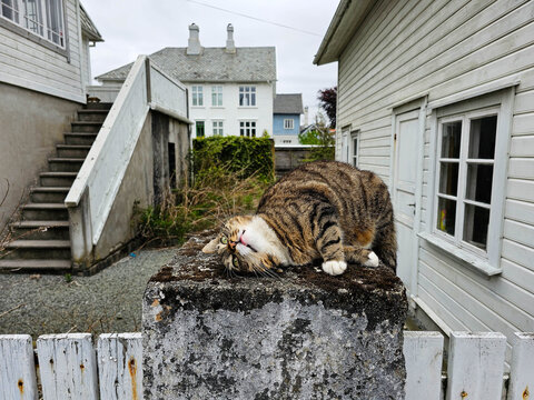 Stra&szlig;en und H&auml;user in der Altstadt von Bergen in Norwegen