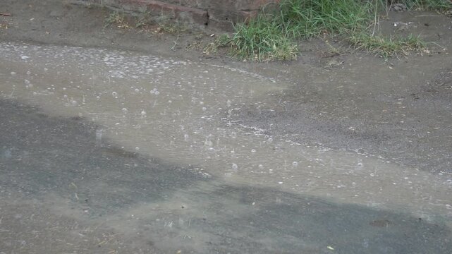 Rain falling in a puddle creating bubbles . Rainwater bubbles forming in a pool on the ground during a storm. slow motion