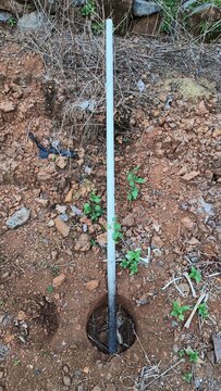 Long thin grey PVC pipe standing upright in a freshly dug round hole in the dirt.
