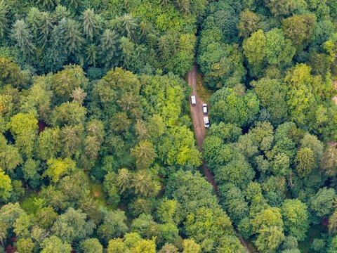 Aerial view of Grand-Ballon forest with a dirt road winding through dense trees and three vehicles parked on the path in Soultz-Haut-Rhin, Grand Est, France.
