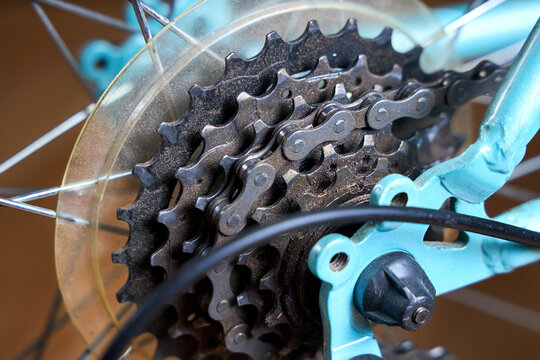 Bicycle rear cassette wheel with chain and spokes gear mechanism closeup on blue frame bike repair maintenance outdoor leisure lifestyle cycling detail transport speed gear shifting sport drive