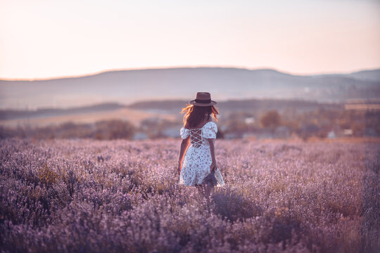 Woman lavender field walking through purple blossoms during beautiful summer sunset