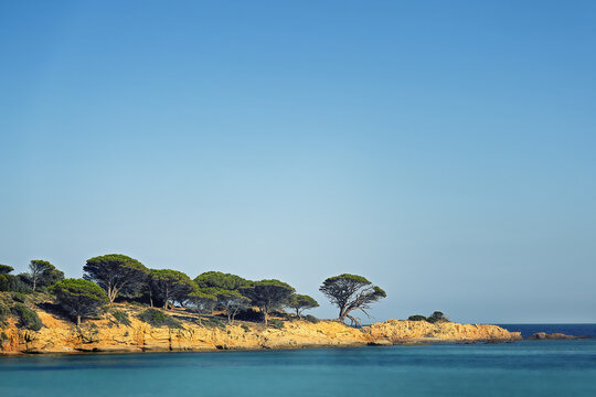 Corsican landscape, sea, cliffs, and cedars