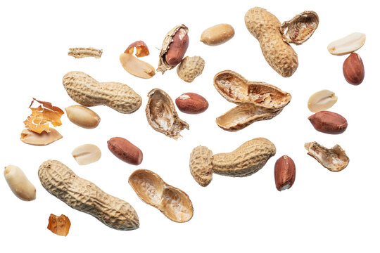 Peeled raw peanut kernels isolated on a white background.
