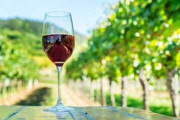 Obraz premium Glass of red wine placed on wooden table in green vineyard