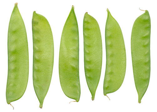 A neat flat lay row of six young green snow pea pods arranged vertically side by side, isolated on a white background.