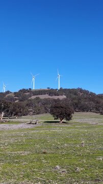 Wind Turbines Spinning on Rural Hillside Under Clear Blue Sky