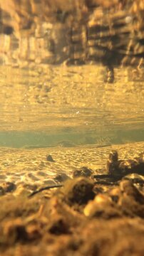 Underwater View of Golden Sun Rays Over Sandy Riverbed