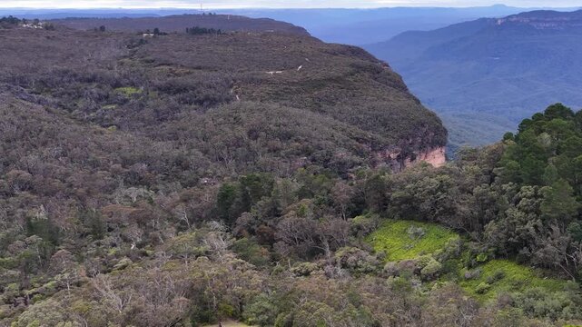 Eucalyptus Forest and Sandstone Cliffs in Blue Mountains National Park
