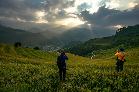 Golden ripe rice terraces in Mu Cang Chai, Vietnam. Iconic autumn landscape and famous travel destination.