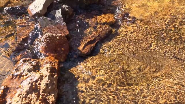 Clear Water Flowing Over Rocks in a Mountain Creek