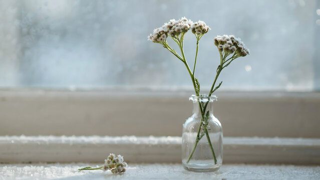A small clear glass vase containing white wildflowers sits on a window sill with a single fallen flower next to it and snow falling outside