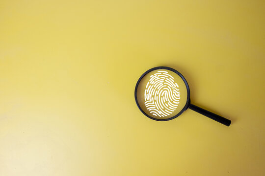 Cyber security and biometric authentication concept. A magnifying glass focusing on a white fingerprint icon graphic on a solid yellow background.