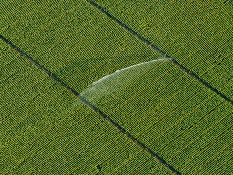 Aerial view of a green agricultural field with a mechanical irrigation system spraying water over the crops in Bantzenheim, Grand Est, France.