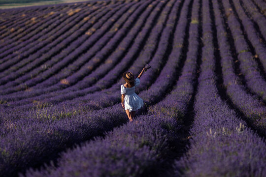 Lavender field woman walking between deep purple rows holding flowers at sunset