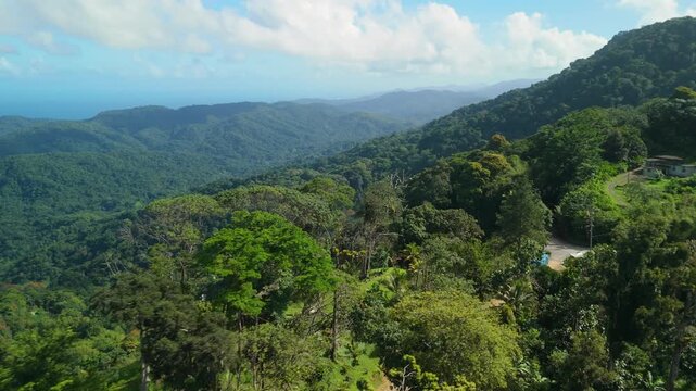 Aerial orbit over Las Lapas Lookout reveals sweeping green valley and Northern Range rainforest mountains meeting Caribbean coastline in Trinidad