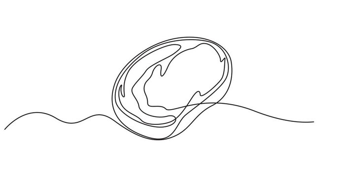 Animation of one line drawing of meat veal, pork, beef, veal steak grill bbq. Continuous line self drawing. Animated illustration. 4K, meat veal continuous one line drawing animation, HD