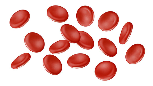 Red blood cells floating, isolated on transparent background