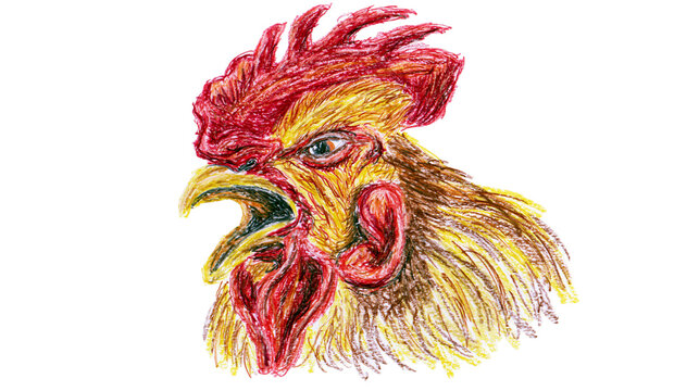 Detailed rooster head with red comb and yellow feathers, isolated on transparent background
