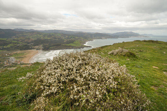 Panoramic view of La Arena beach and the Cantabrian coast from Punta Lucero