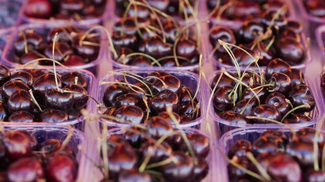 Ripe dark sweet cherries displayed in market containers
