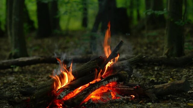 Small campfire flickering in deep green forest with authentic audio sound. Serene natural background footage suitable for meditation, study with me videos and ASMR.