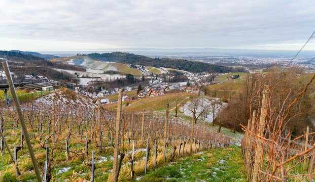 Black forest scenery