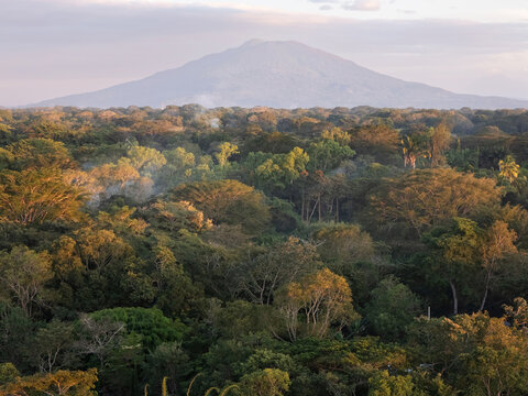 Aerial view of a lush tropical forest with a prominent volcano in the background under soft golden hour light in Santa Teresa, Carazo, Nicaragua.