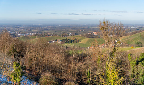 Black forest scenery