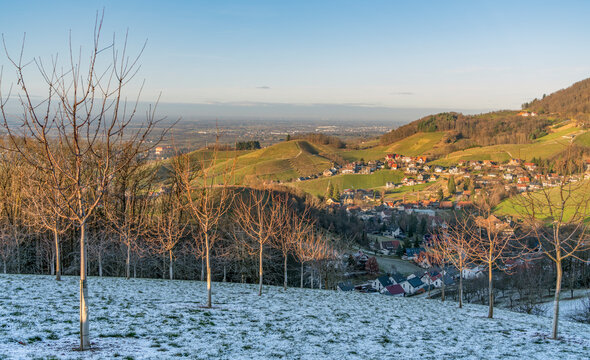 Black forest scenery