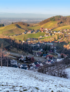 Black forest scenery