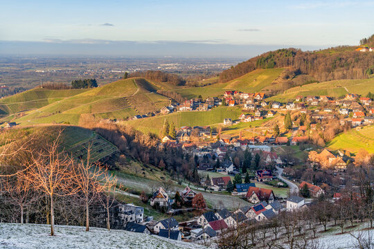Black forest scenery