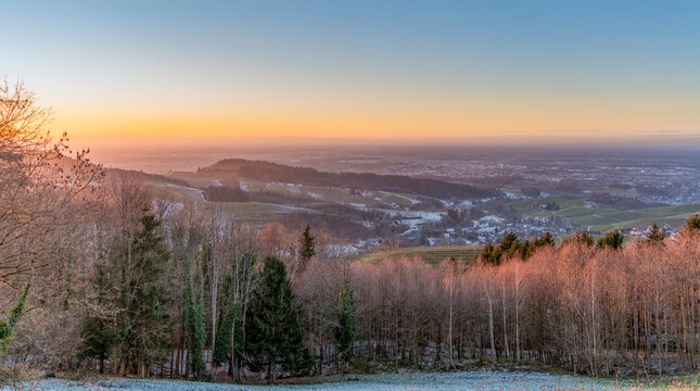 Black forest evening scenery