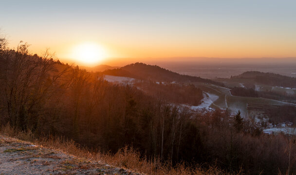 Black forest evening scenery