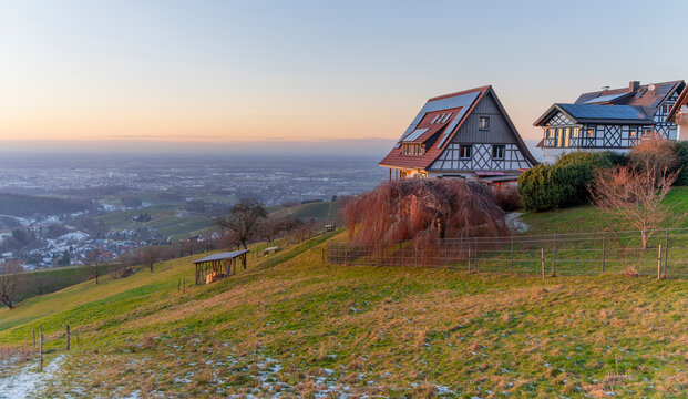 Black forest evening scenery