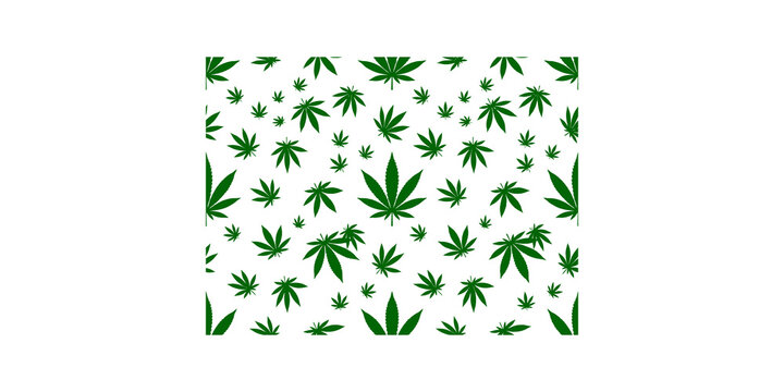 Cannabis sativa leaf or marijuana icons scattered on an isolated transparent background suitable for various design applications related to cannabis.