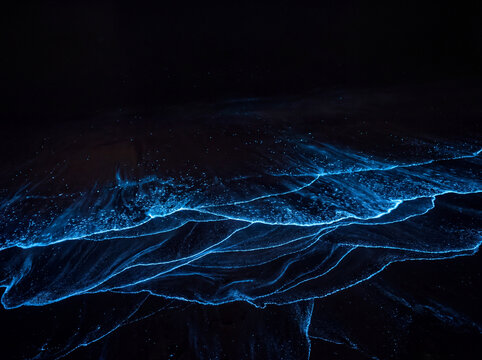 Bioluminescent blue glowing ocean waves on dark night beach shoreline