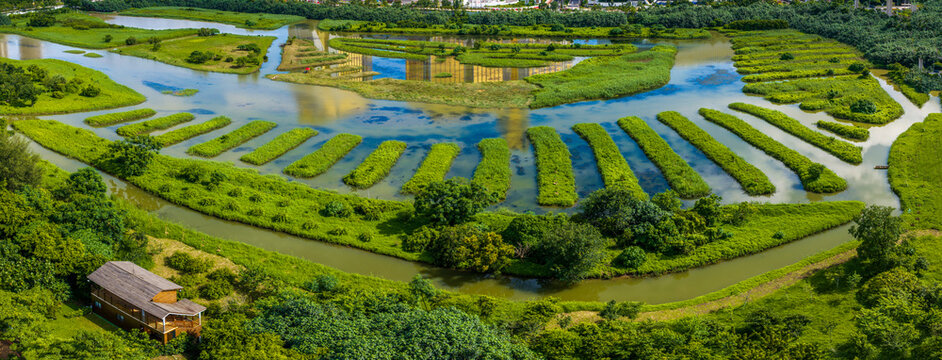 Aerial View of Cotai Ecological Reserve, Macau