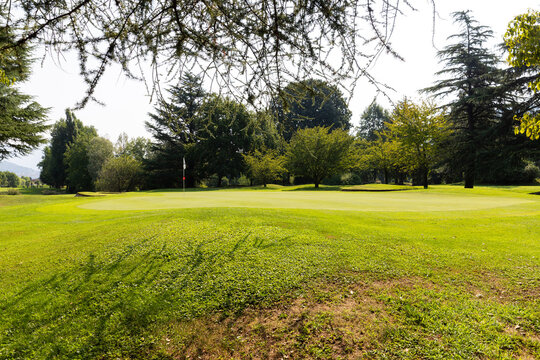 A detail of a golf course on a summer&rsquo;s day,