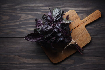 Fresh bunch purple basil on cutting board © danishch