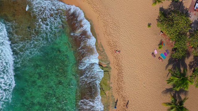 An expansive aerial view captures the lush coastal flora bordering the sandy shores of Mar Chiquita Beach.