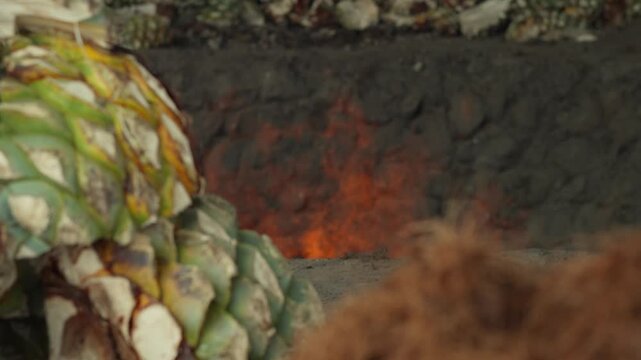Traditional underground mezcal oven with open flames during agave roasting process, slow motion warm red flare dances, rack focus to plants