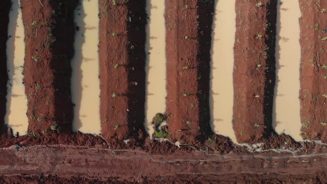 Aerial top view of irrigated agricultural planting beds with parallel soil rows, drone tracking