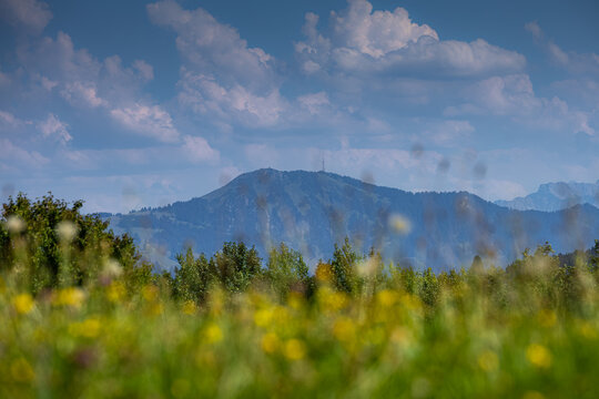 Germany, Bavaria, Allgaeu, Gruenten mountain, Peak of "Gr&uuml;nten" near Immenstadt
