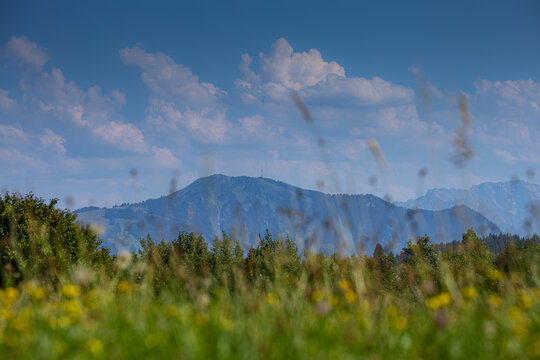 Germany, Bavaria, Allgaeu, Gruenten mountain, Peak of "Gr&uuml;nten" near Immenstadt