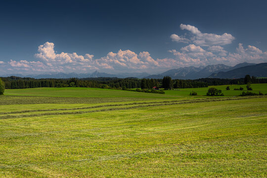 Germany, Bavaria, Allgaeu, Gruenten mountain, Peak of "Gr&uuml;nten" near Immenstadt