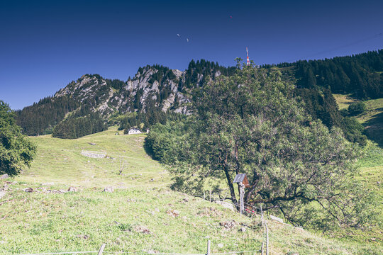 Germany, Bavaria, Allgaeu, Gruenten mountain, Peak of "Gr&uuml;nten" near Immenstadt