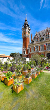 Calais (Pas de Calais / France) - Beffroi et H&ocirc;tel de ville