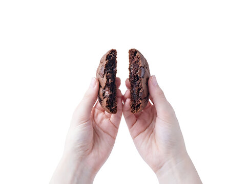 Hands holding a broken chocolate cookie. Freshly baked biscuit halves isolated on Two halves of a delicious cream-filled sandwich cookie floating against a transparent background