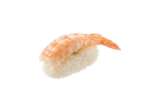 A perfectly crafted ebi nigiri sushi is displayed against a white backdrop, showcasing its fresh shrimp topping over a bed of seasoned rice.